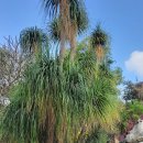 희구농장 이미지