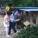 새날공부방 이미지