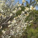 비석농산 이미지