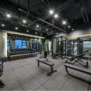 바디플레이스 이미지