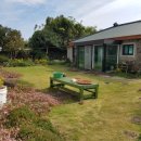 하도조아 이미지