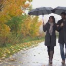 달빛마을 이미지