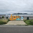 33떡볶이 군산1호점 | [군산 선유도여행] 선유도 밤바다, 현지인 추천 키조개삼합 맛집