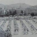 부산 여기는 어디일까요?...(1534)...부산 창신초등학교 이미지