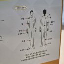 전설의신기방기_근육관절 원적외선패치 사용 후기
