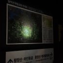 황장산민박 이미지