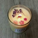 참 하다 이미지