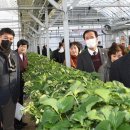 방문농장 이미지