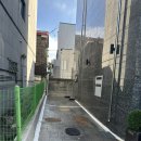 보스멍 | 천안 애견카페 '보스멍' 후기