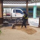 솔샘초등학교 병설유치원 이미지