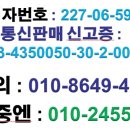 도치퀸