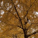 현진세탁소 이미지