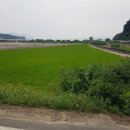 경남 남해군 서면 토지 매매 이미지