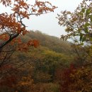 지리산 단풍비 이미지