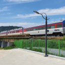 문경참미나리 미돈가 이미지