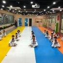 경희대 석사 태비 태권도 이미지