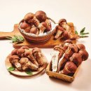 미정농장 이미지