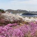 역곡초등학교2 이미지