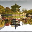 첨미