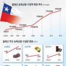 선진화훼유통 이미지