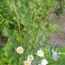 가곡초등학교(보발분교) 이미지