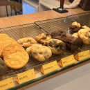 푸키쿠키(POOKIE COOKIE) 네이버블로그