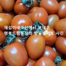 재섭농장 티스토리