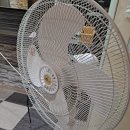 픽스바디짐 신월점 이미지