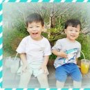 세준푸드 농업회사법인 주식회사 이미지