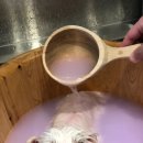 온블리살롱 이미지