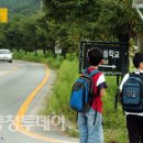 은석초등학교 - 44690 | 은석초등학교