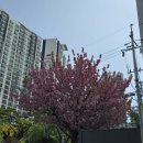 평안안과의원 이미지