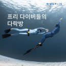 소셜다이버 이미지
