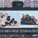폴햄롯데진주아울렛