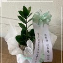 아레스&마셀 이미지