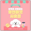 펫구름 | 의정부 비숑분양 후기｜유앤미펫에서 만난 구름 같은 천사