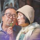 정원표구사