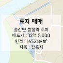 송산땅부동산공인중개사사무소 | [송산면 토지 매매] 송산그린시티 개발 지역 부근 500평