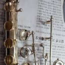 오늘도 플루트 이미지