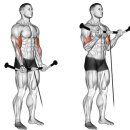 바디스타짐 이미지