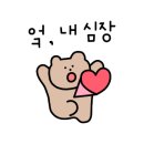 판판포포 이미지