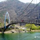 연하엽구름다리 동아일보