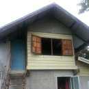 소중한 댕 이미지