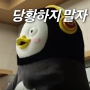 노베이커노베이커스 네이버블로그