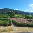 동읍192 | 경남 창원 근교 아이와 함께 할로윈 분위기 즐길수 있는 곳 정리