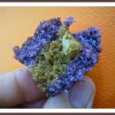 카페보리 이미지