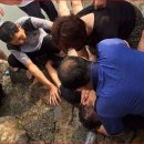 돌산읍우두출장소 이미지