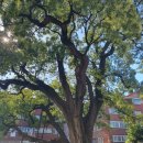 신현동-7 이미지