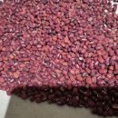 양산시농업기계임대사업소 | 노을농부의 25년 햇 토종 팥, 부안에서 직접 키운 팥