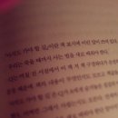 왕케이스